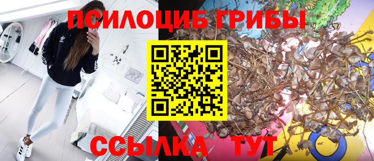 Галлюциногенные грибы Psilocybine cubensis  Вход с VPN  Воскресенск 