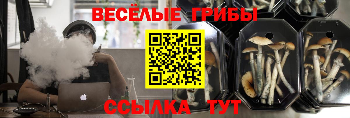 Псилоцибиновые грибы ЛСД Воскресенск